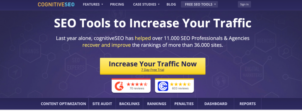cognitiveSEO